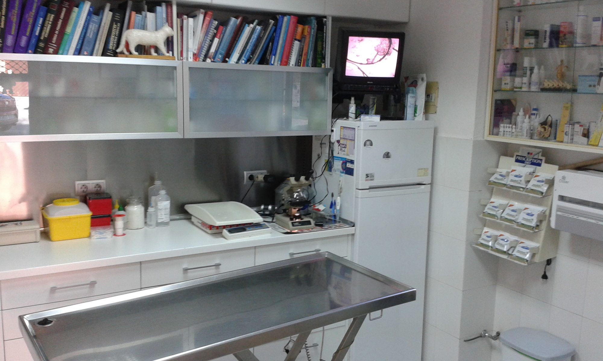 Consulta veterinaria